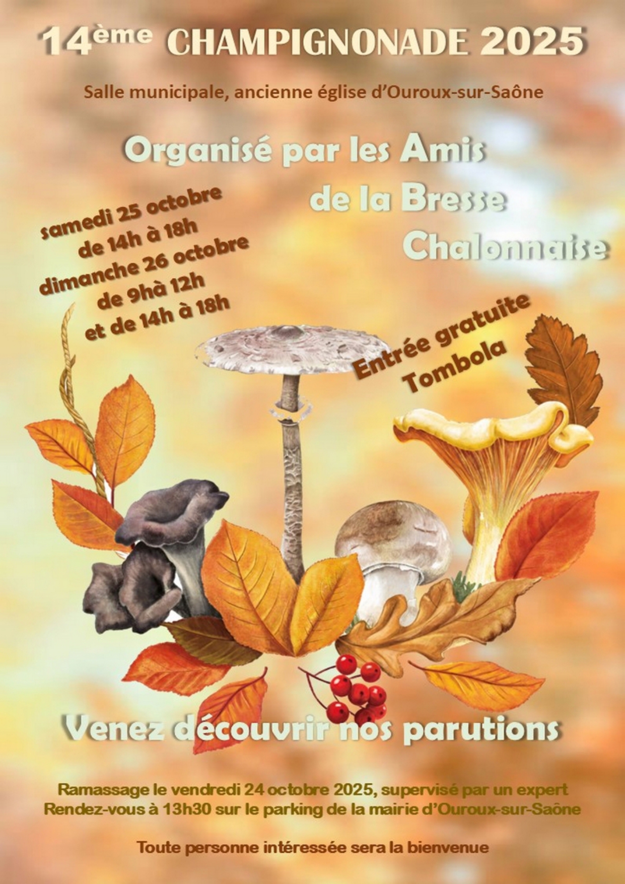champignon abc 2025